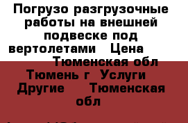 Погрузо-разгрузочные работы на внешней подвеске под вертолетами › Цена ­ 1 000 000 - Тюменская обл., Тюмень г. Услуги » Другие   . Тюменская обл.